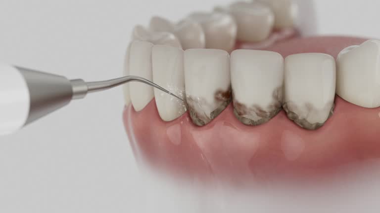 Reliable Dental contractor in Church Hill, MD by Dentist Open Now